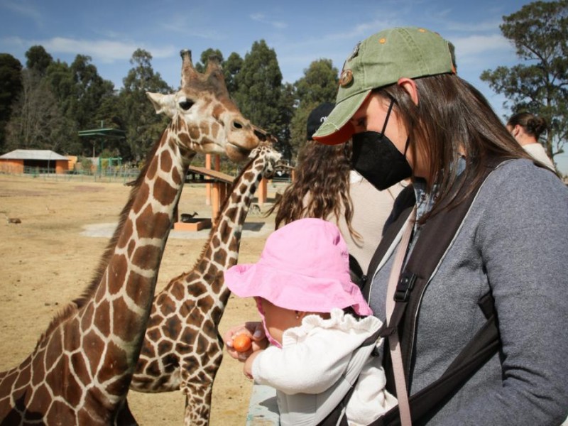 Abrirán parques y zoológicos en semana santa.