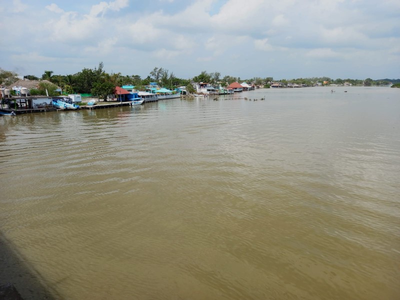 Abundante pesca por revoltura en aguas del Golfo