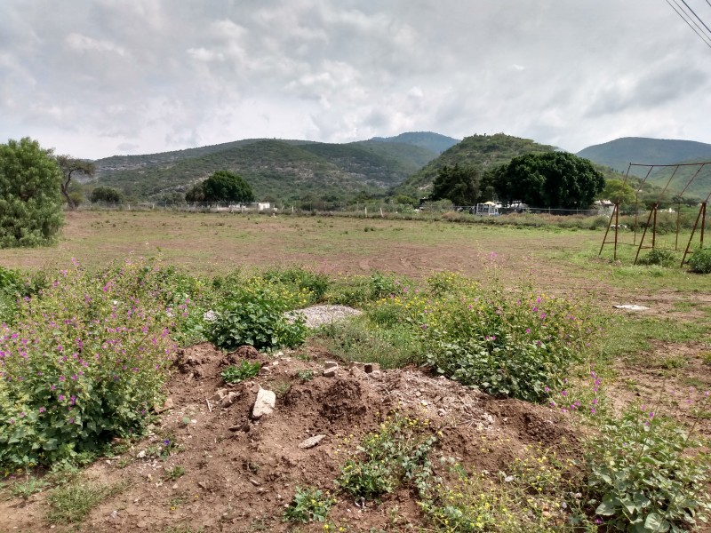 Acusan reventa de terrenos en Miahuatlán