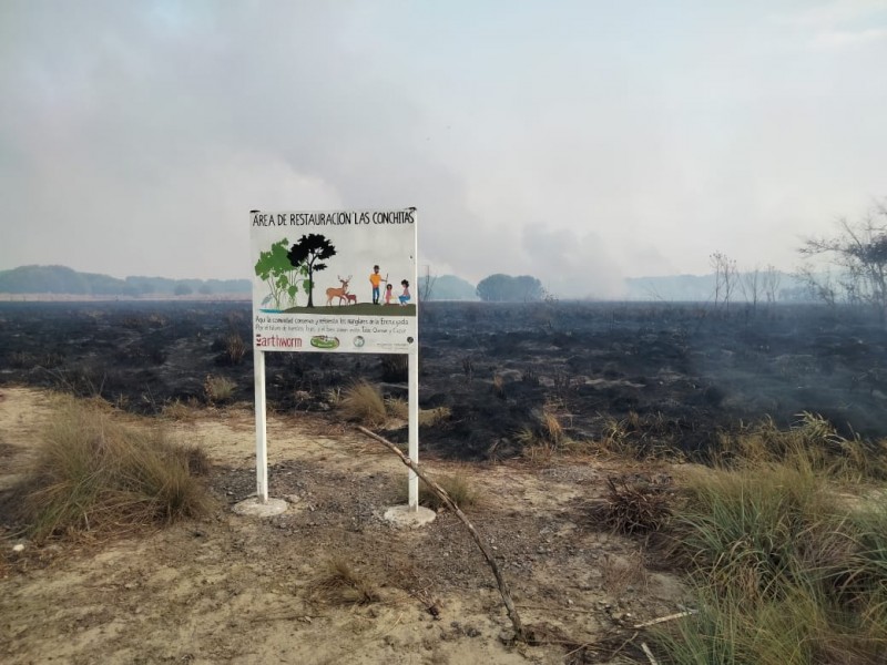 Acaba incendio provocado trabajo de reforestación en Reserva La Encrucijada