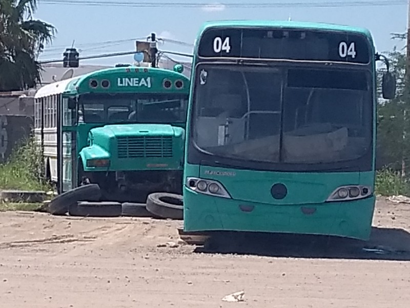 Dan reversa a  paro  de camioneros