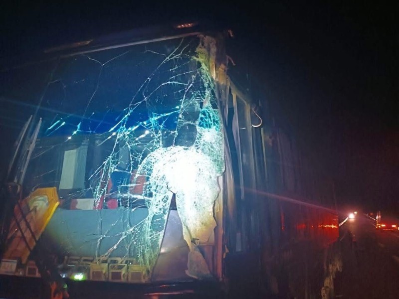 Accidente en supercarretera Cuacnopalan-Oaxaca entre autobús y tráiler