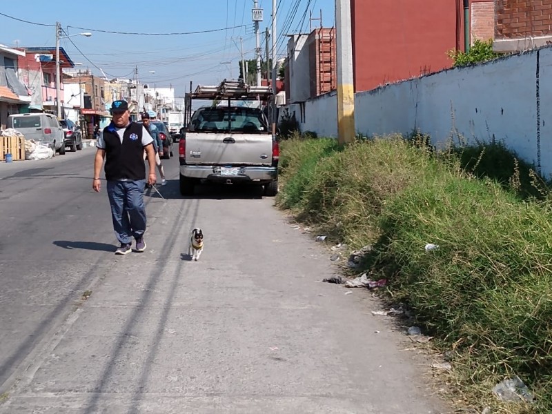 Accidentes por falta de limpieza en banqueta