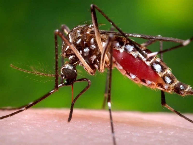 Acciones de prevención y control contra el Dengue