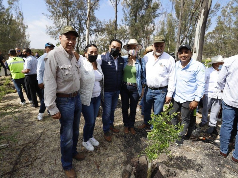 Acompaña Luis Nava arranque de la temporada de reforestación