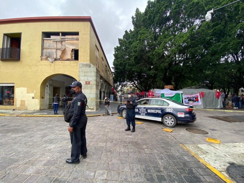 Por caída de segundo árbol en Oaxaca, acordonan área