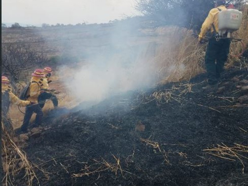 Activan alerta atmosférica en Mascota por incendio