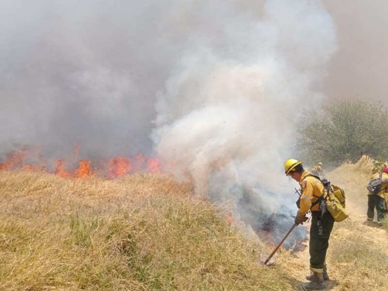Activan alerta atmosférica por incendio forestal en Zapopan