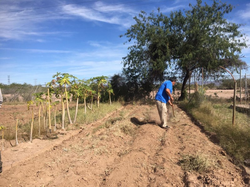 Activan huerto en Cobijo San Josè