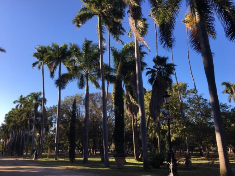 Reactivan sitios recreativos pero Jardín Botánico sigue cerrado