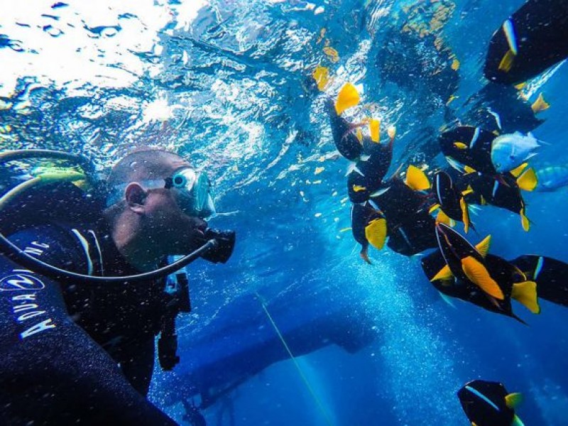 Actividades acuáticas lo más buscado en San Carlos