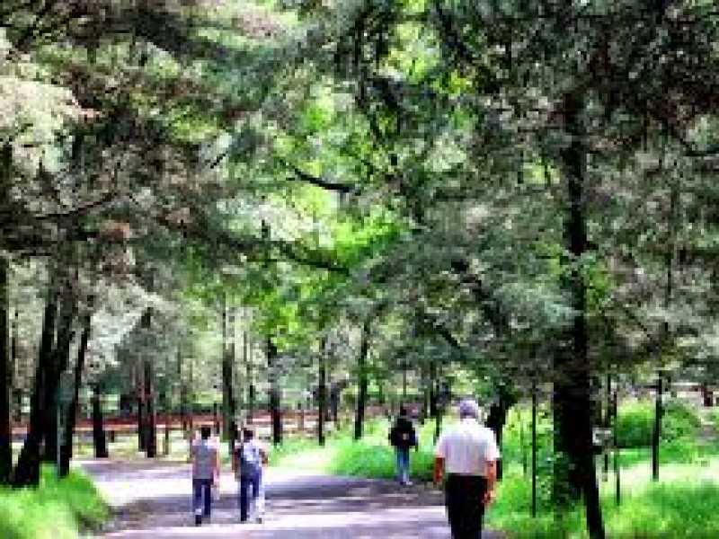 Actividades gratuitas en el Domingo Verde