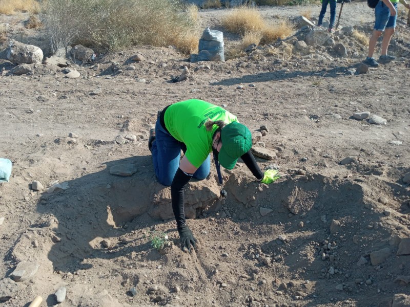 Activistas ambientales reforestan campo deportivo El Cárcamo