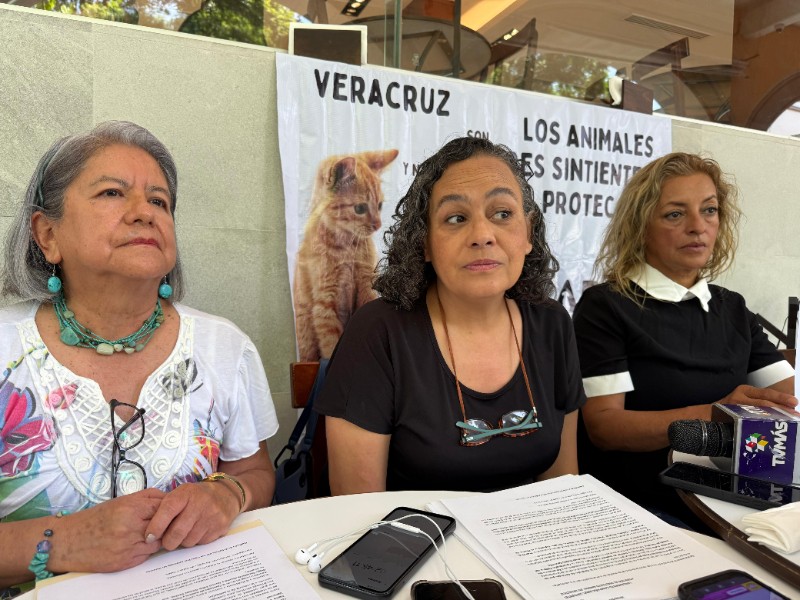 Activistas apuran al Congreso para acelerar reforma pro animales