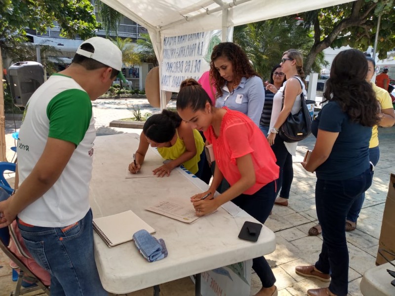 Activistas recaban firmas