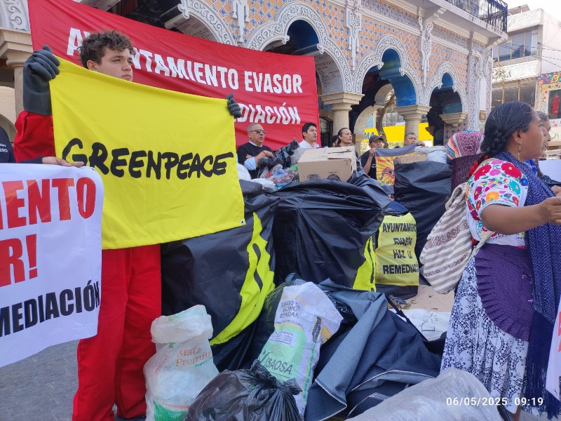 Activistas y Greenpeace buscarán instancia federales e internacionales