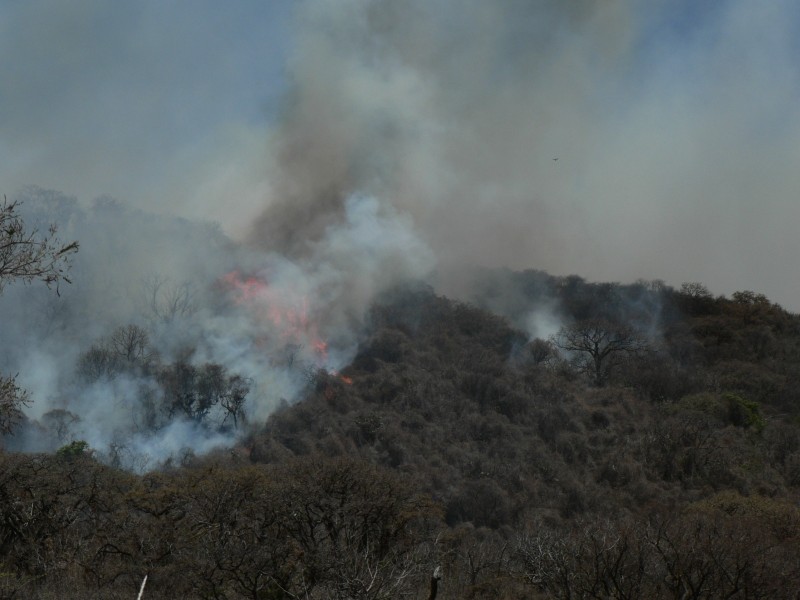 Activos 14 incendios en Michoacán