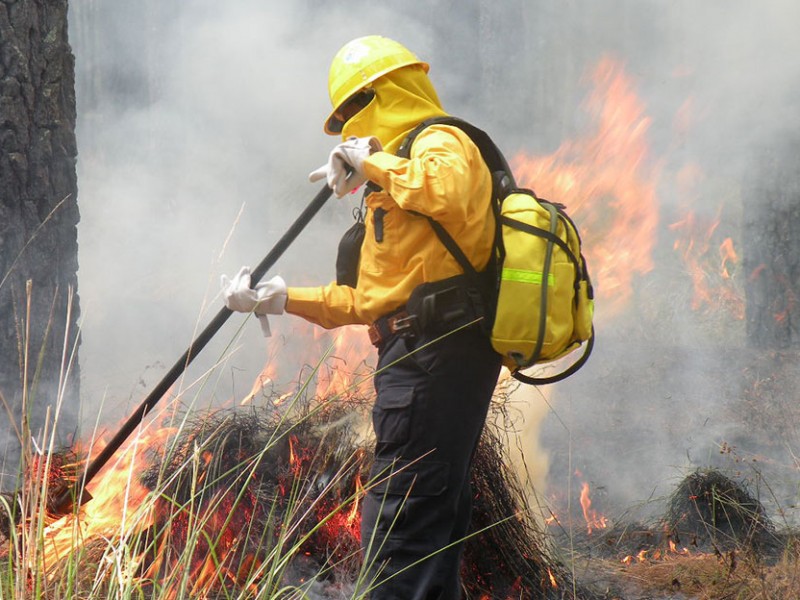 Activos 50 incendios forestales en el país