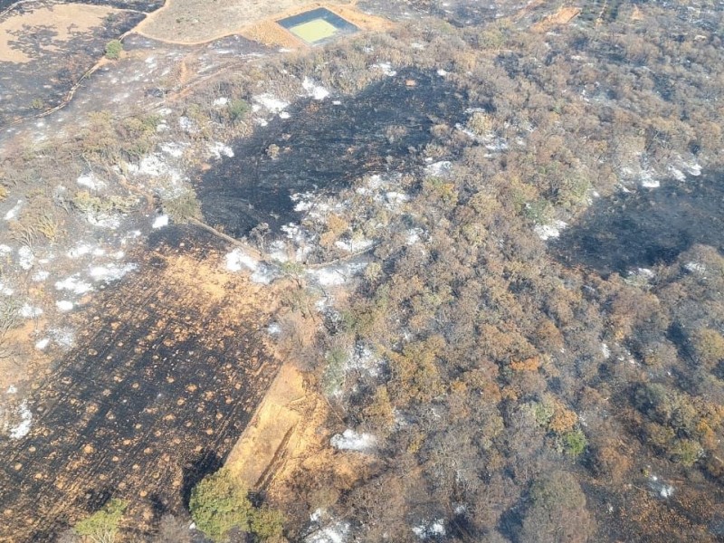 Activos seis incendios forestales en Michoacán