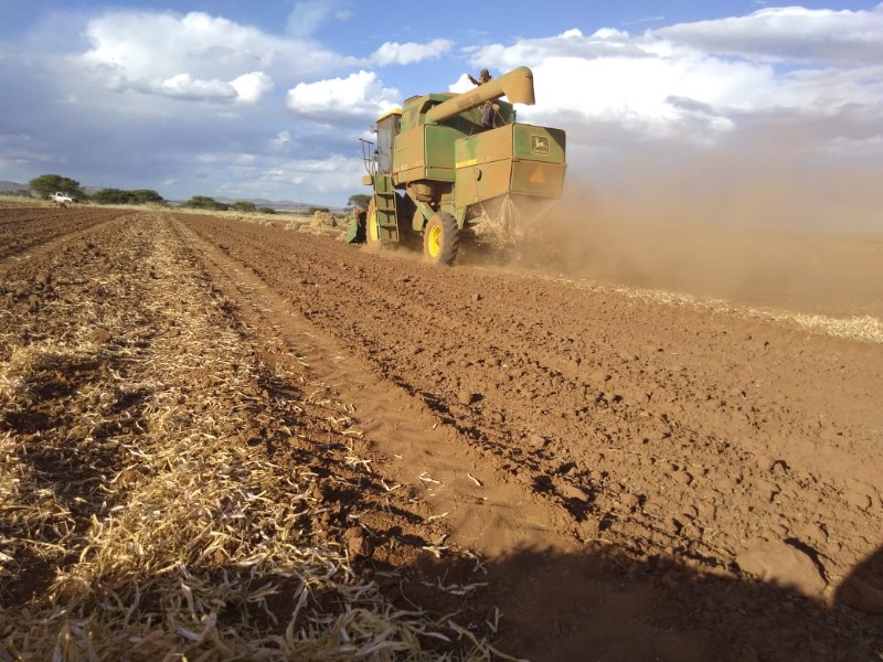 Actualizarán padrón de Producción para el Bienestar