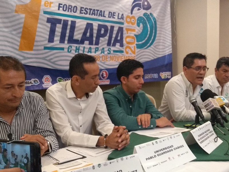 Acuacultores buscan mejorar producción de Tilapia