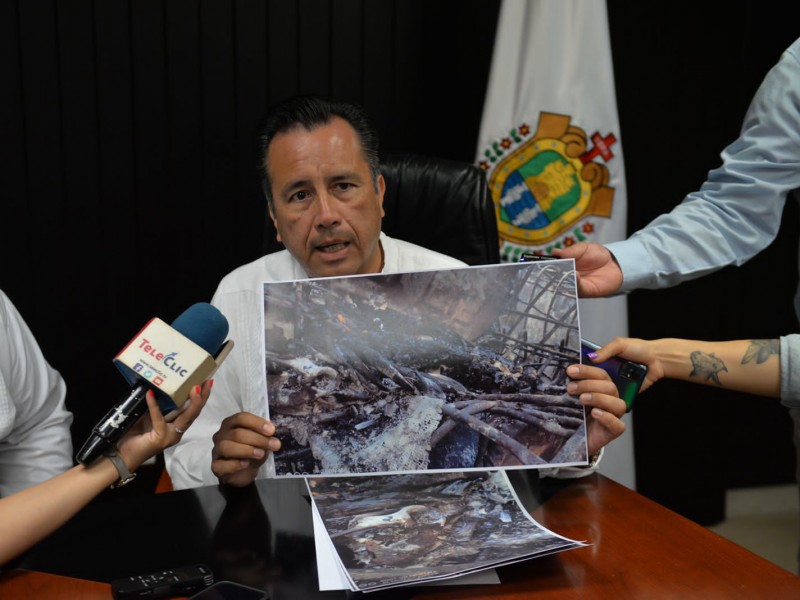 Acuario ocultó cuerpo de manatí:Gobernador
