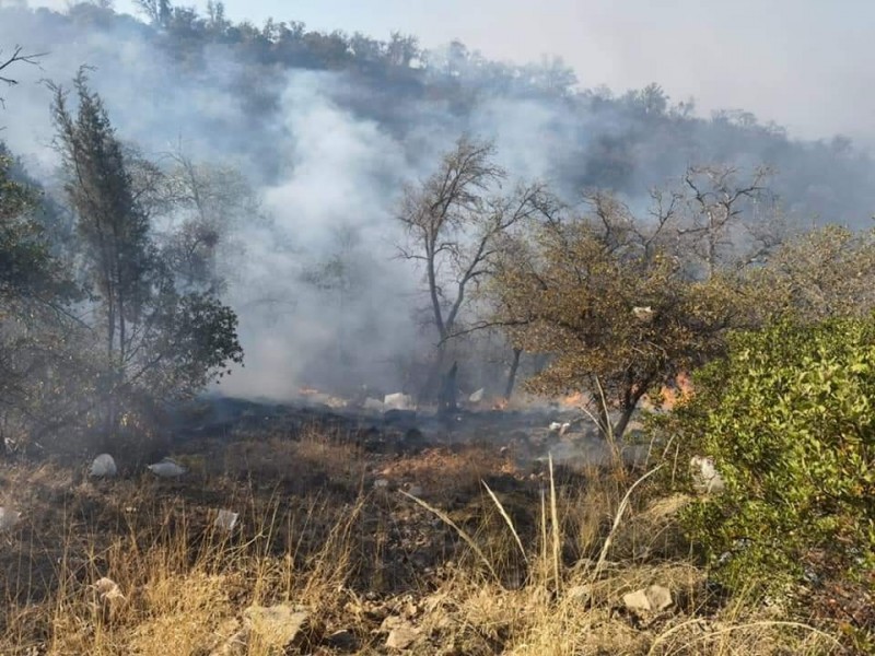 Acuden bomberos de Nogales a ayudar a sofocar incendio forestal