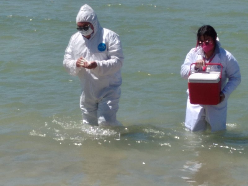 Acuden químicos a Miramar para tomar muestreos del agua