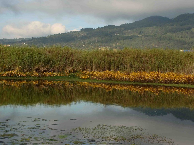 Acuerdan conservación de humedales en San Cristóbal