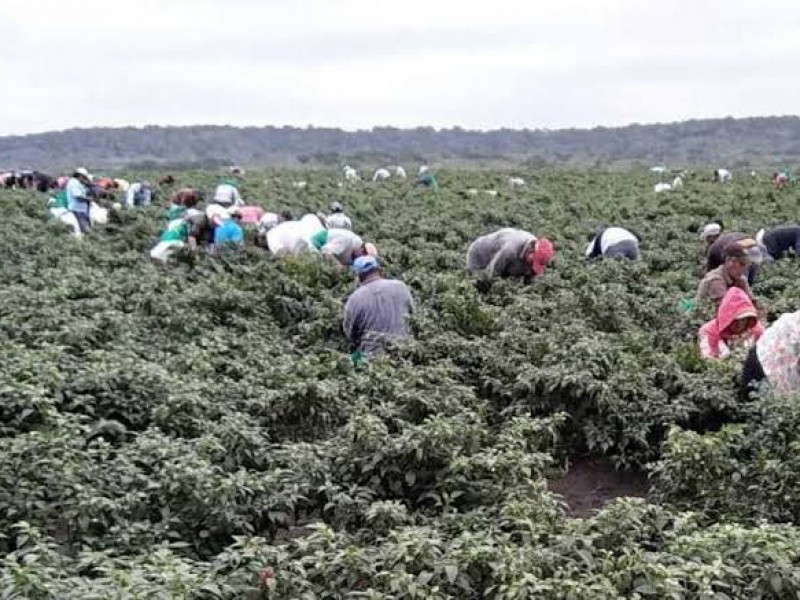 Acuerdan México y Canadá mejorar protección sanitaria de trabajadores agrícolas