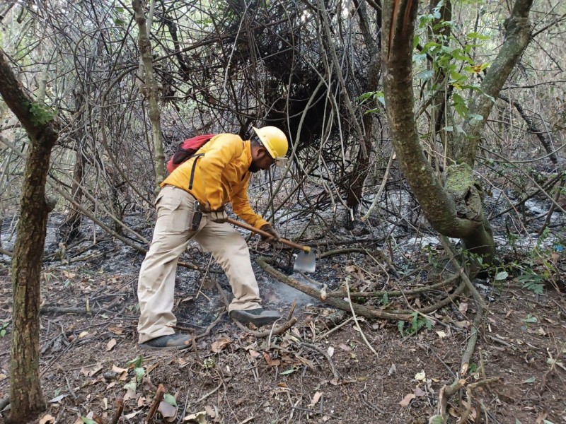 Acumula Veracruz 89 incendios forestales