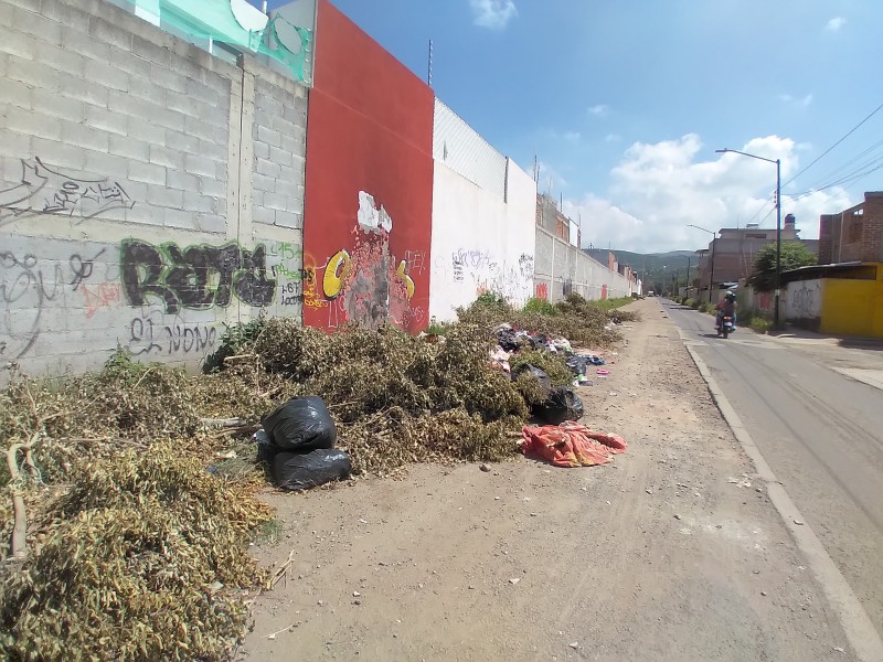 Acumulación de basura genera fétidos olores