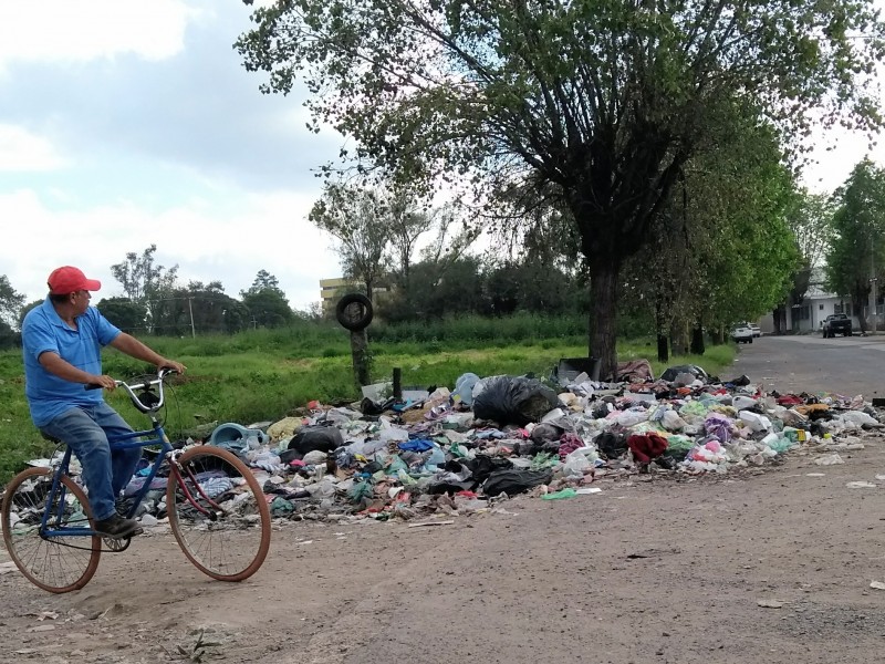 Acumulación de basura genera foco de infección