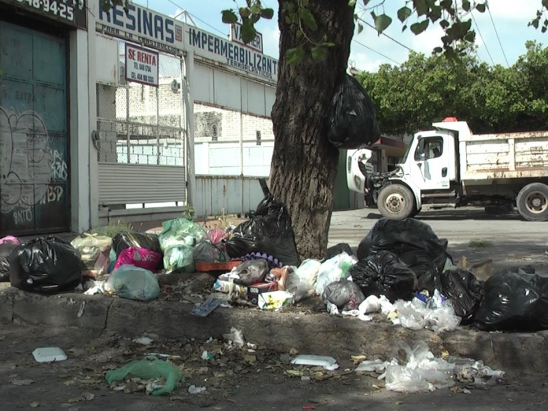 Acumulación de basura genera varios 