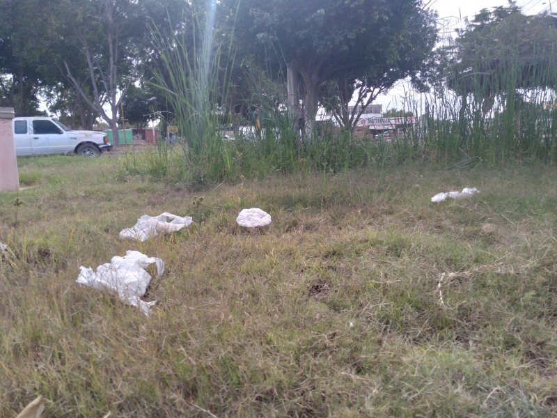 Acumulándose la maleza y basura en parque de Villa Bonita