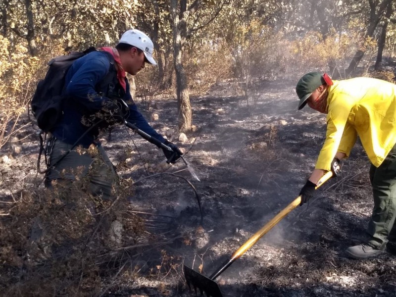 Acusan a inmobiliarias de tres incendios en Bosque del Nixticuil