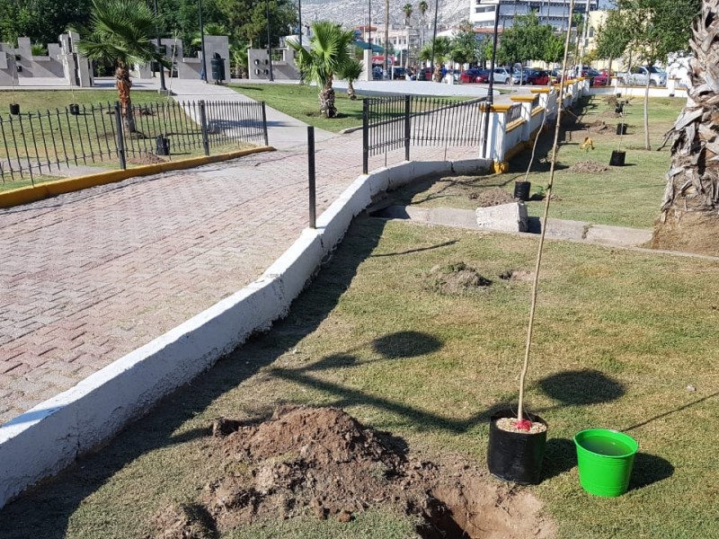 Plantan cien árboles en la Alameda Zaragoza