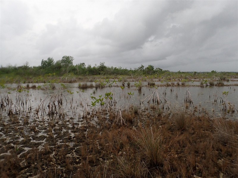 Adiós a los colores de la Laguna de Bacalar