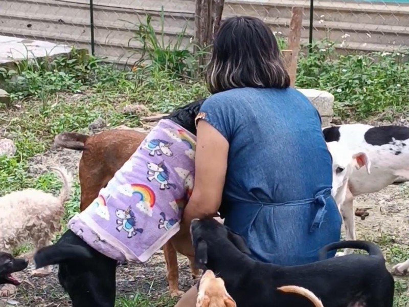 “Adopciones Kissapir” y su continúa lucha para la protección animal