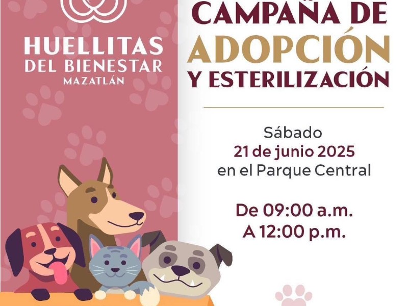 ¡Adopta un Amigo Fiel! 