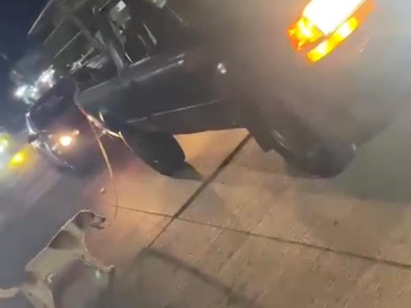 Adoptan a perrito que fue arrastrado en La Carranza; van contra responsable