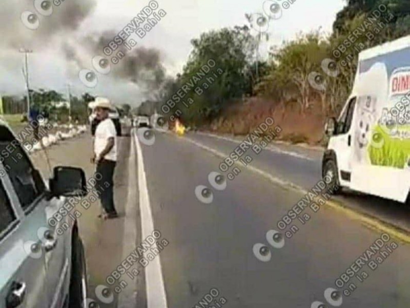 Adulto mayor pierde la vida en accidente vial