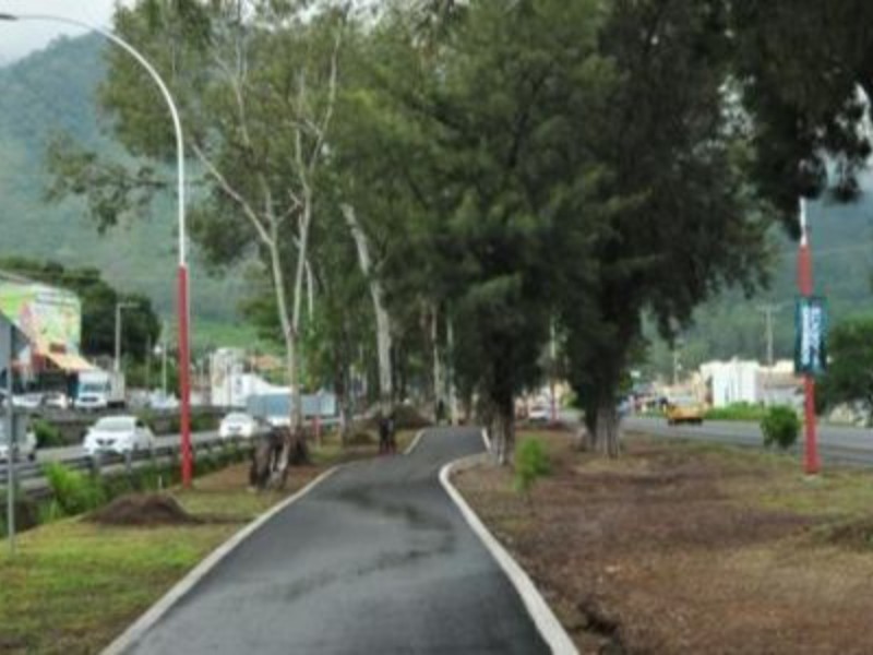 Advierte Protección Ciudadana evitar Parque Lineal por árbolado en riesgo de caer