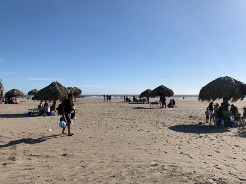 Advierten a bañistas por presencia de aguamalas en Las Glorias