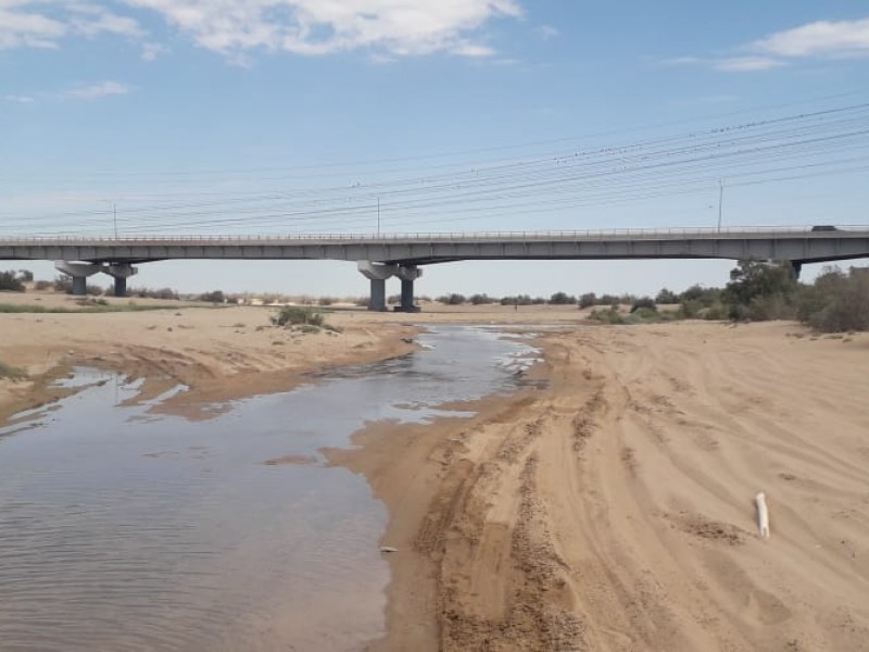 Advierten: agua del Rio Colorado es desecho agrícola