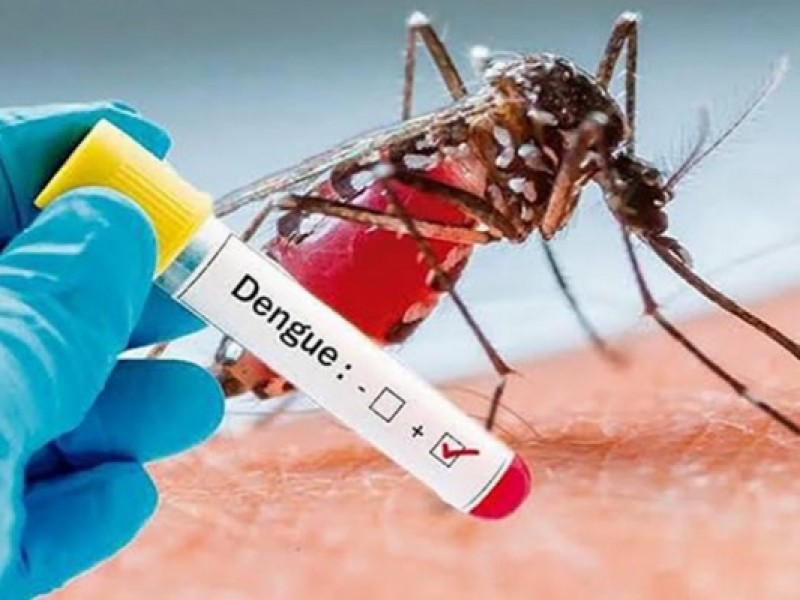 Advierten aumento de casos de dengue