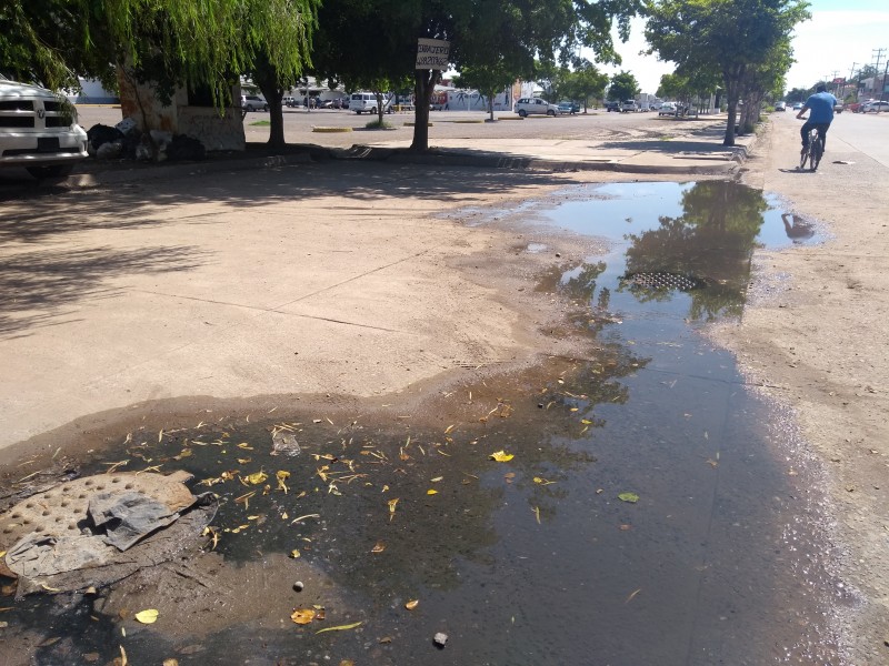 Advierten de riesgos tras brotes de aguas negras