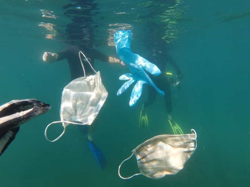 Advierten por riesgo de cubrebocas en el mar causando enredos