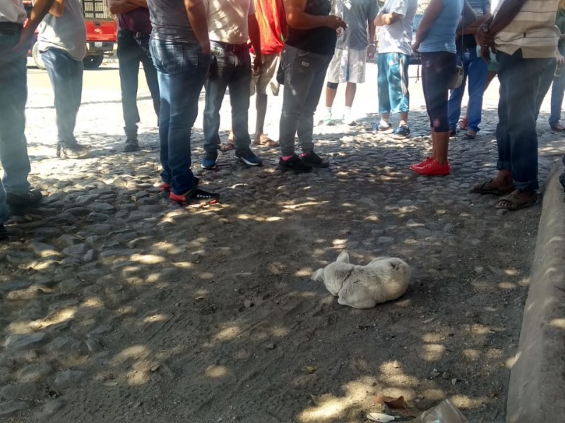 Advierten que lincharán rateros en la Torres Quintero