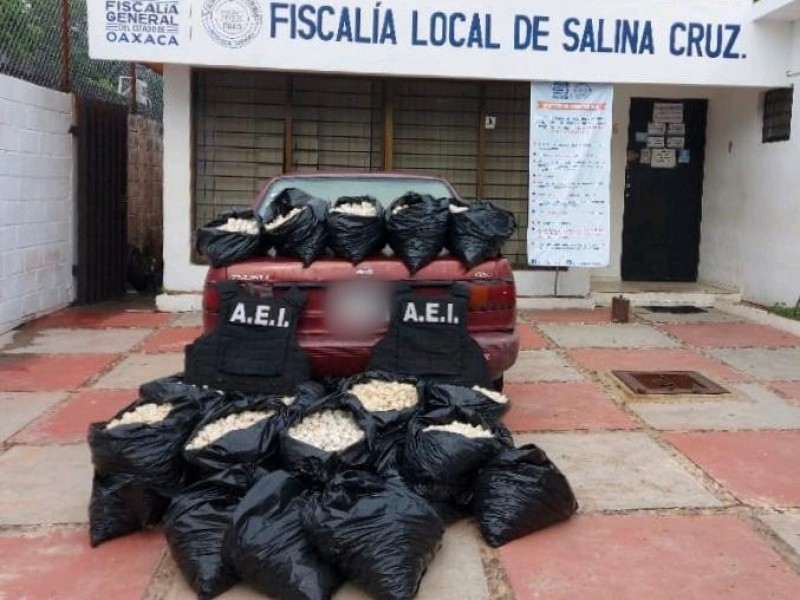 AEI asegura huevos de tortuga en jurisdicción de Tehuantpec
